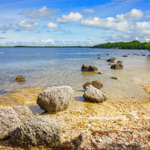 On the coast of the Florida Keys overlooking the clear blue waters