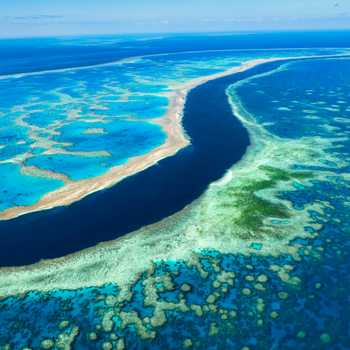 Aerial View of the Great Barrier Reef